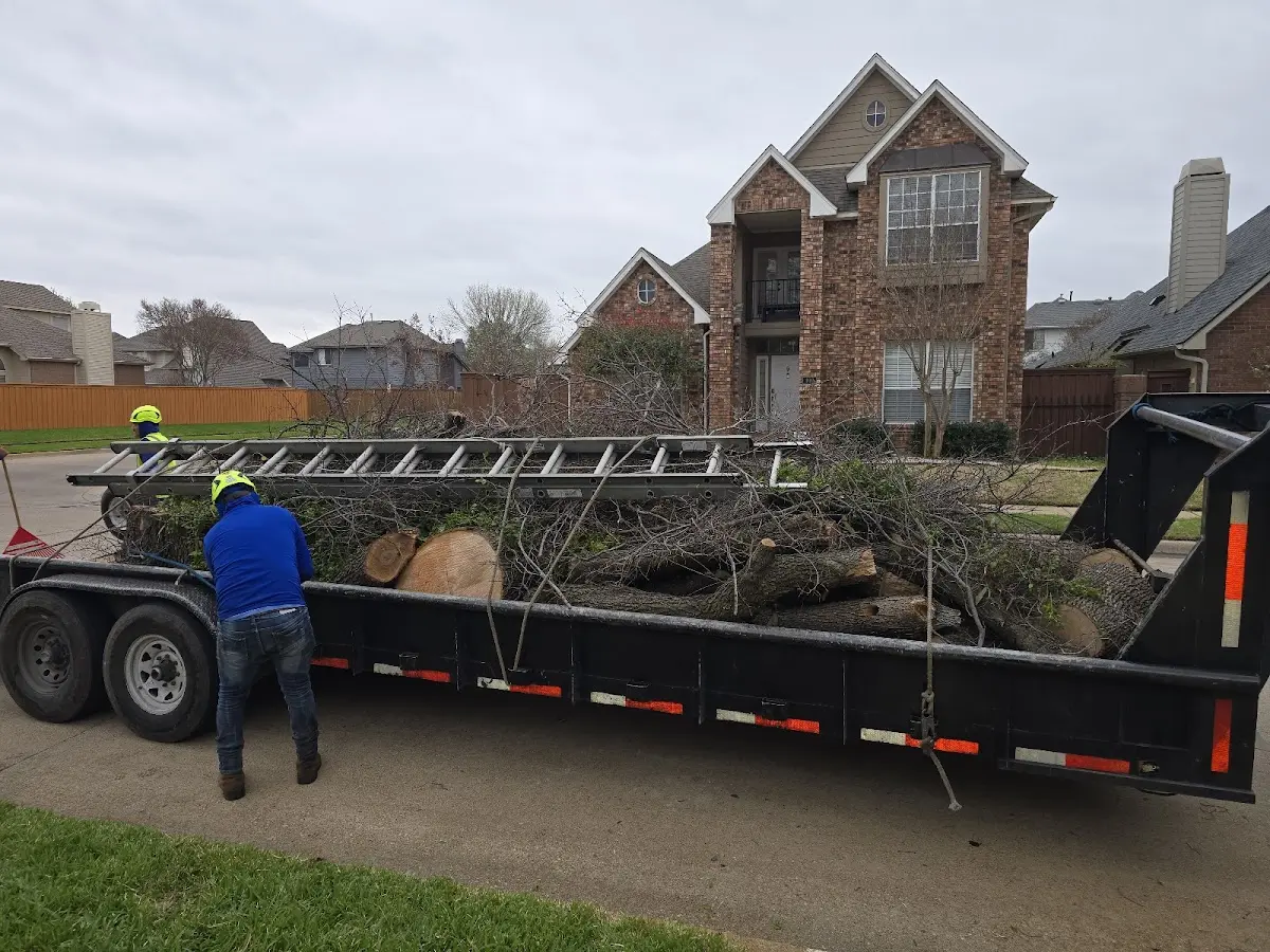 Expert Tree Fertilization with proper safety equipment in Trent